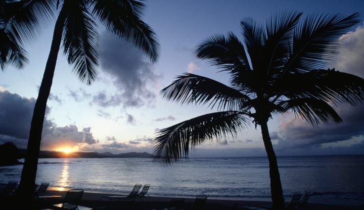 Sunset at the beach in St. Croix US Virgin Islands with palm trees and the sun setting on the ocean horizon.