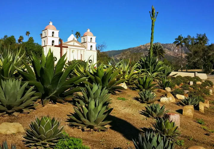 A collection of cactus in a desert region of Santa Barbara, California 
