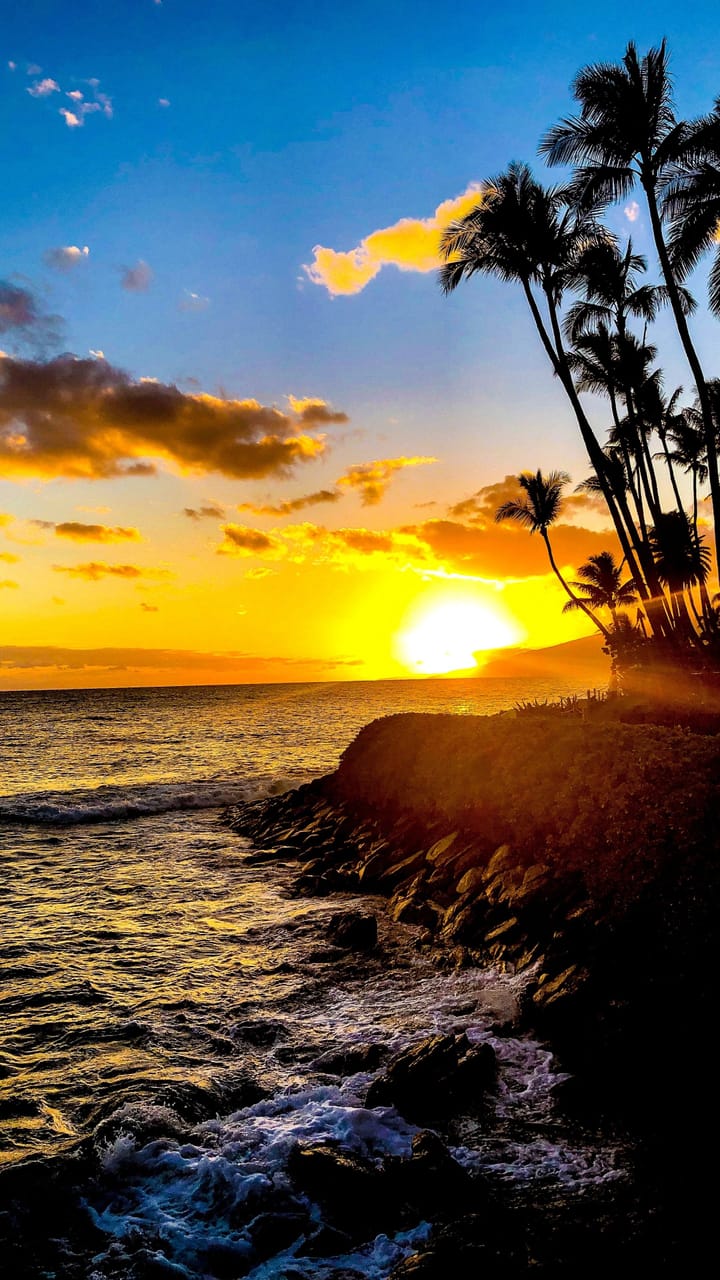 Maui sunset and waves washing onto the shore with palm trees seen in the suns rays.