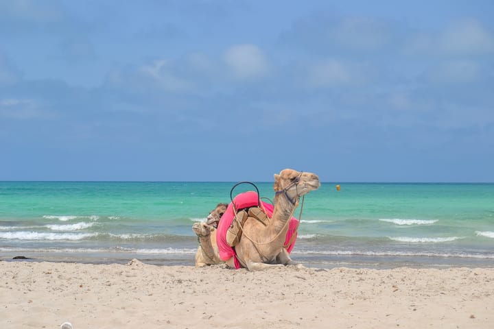 Djerba’s Cheapest and Most Expensive Times To Visit